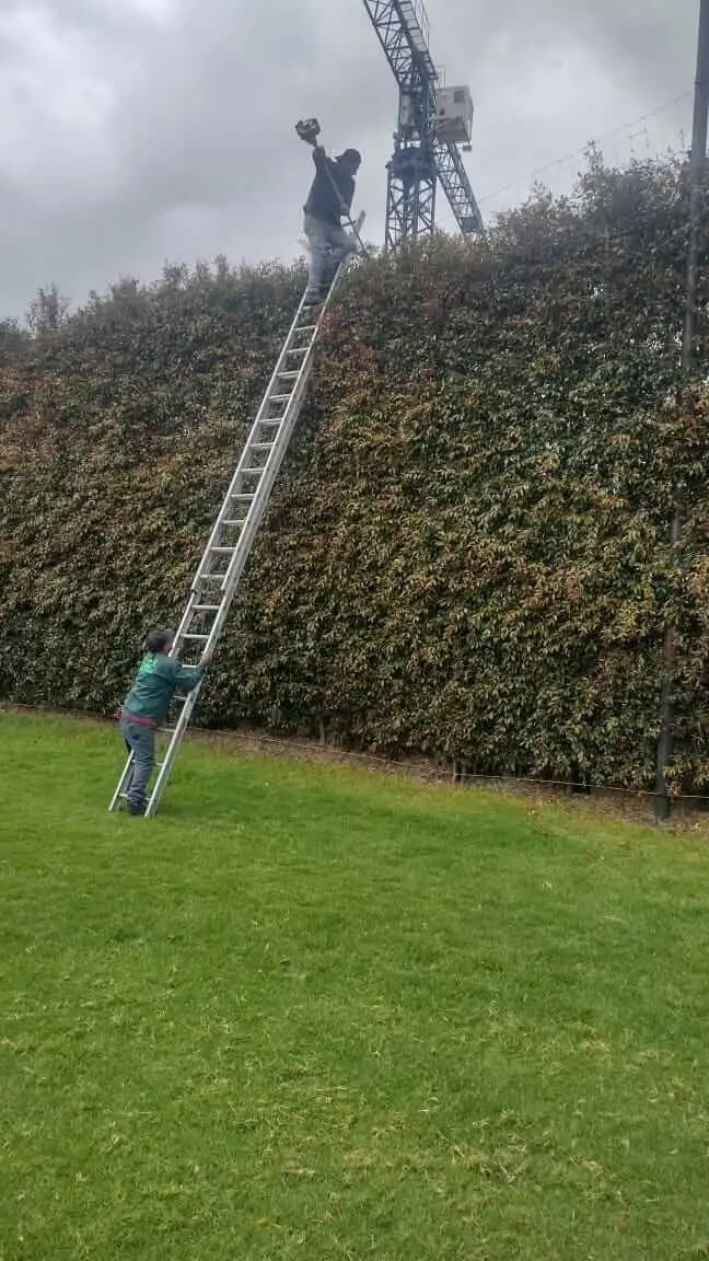 Jardines verticales