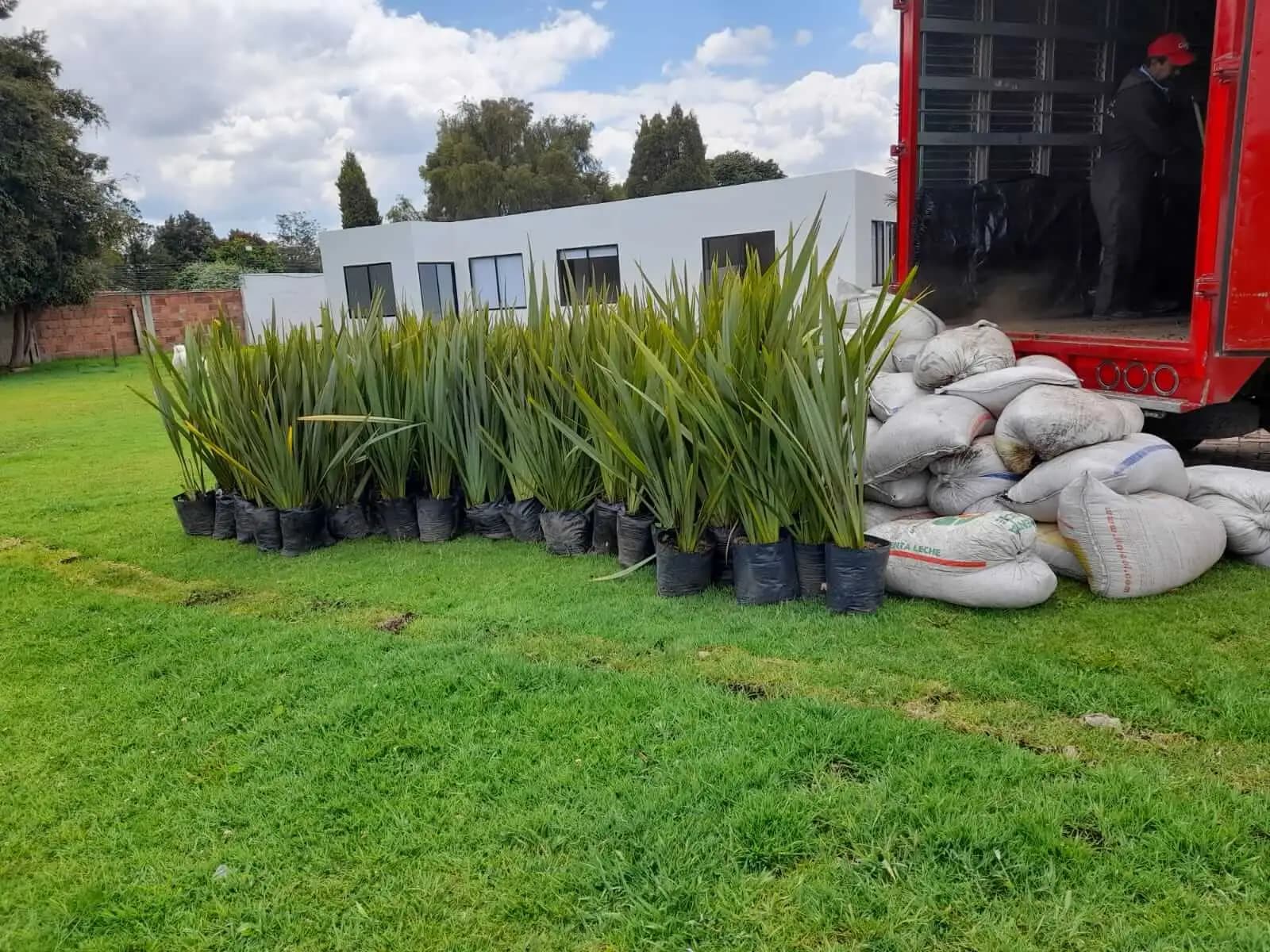 trabajos jardineria