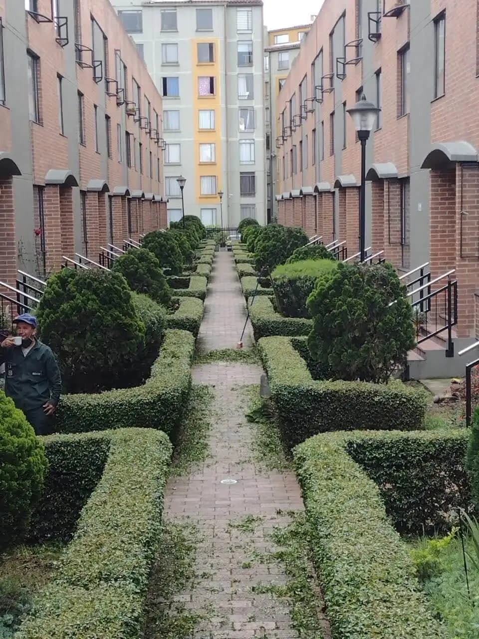 cercas vivas y jardines verticales