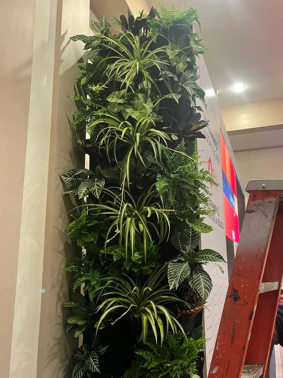 Jardines verticales