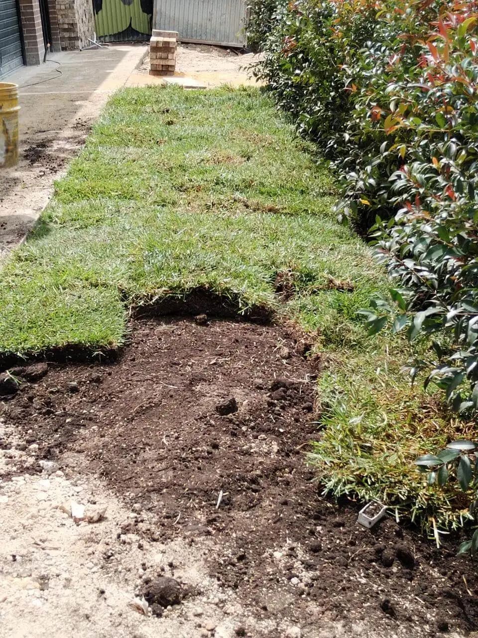 Jardineria y paisajismo