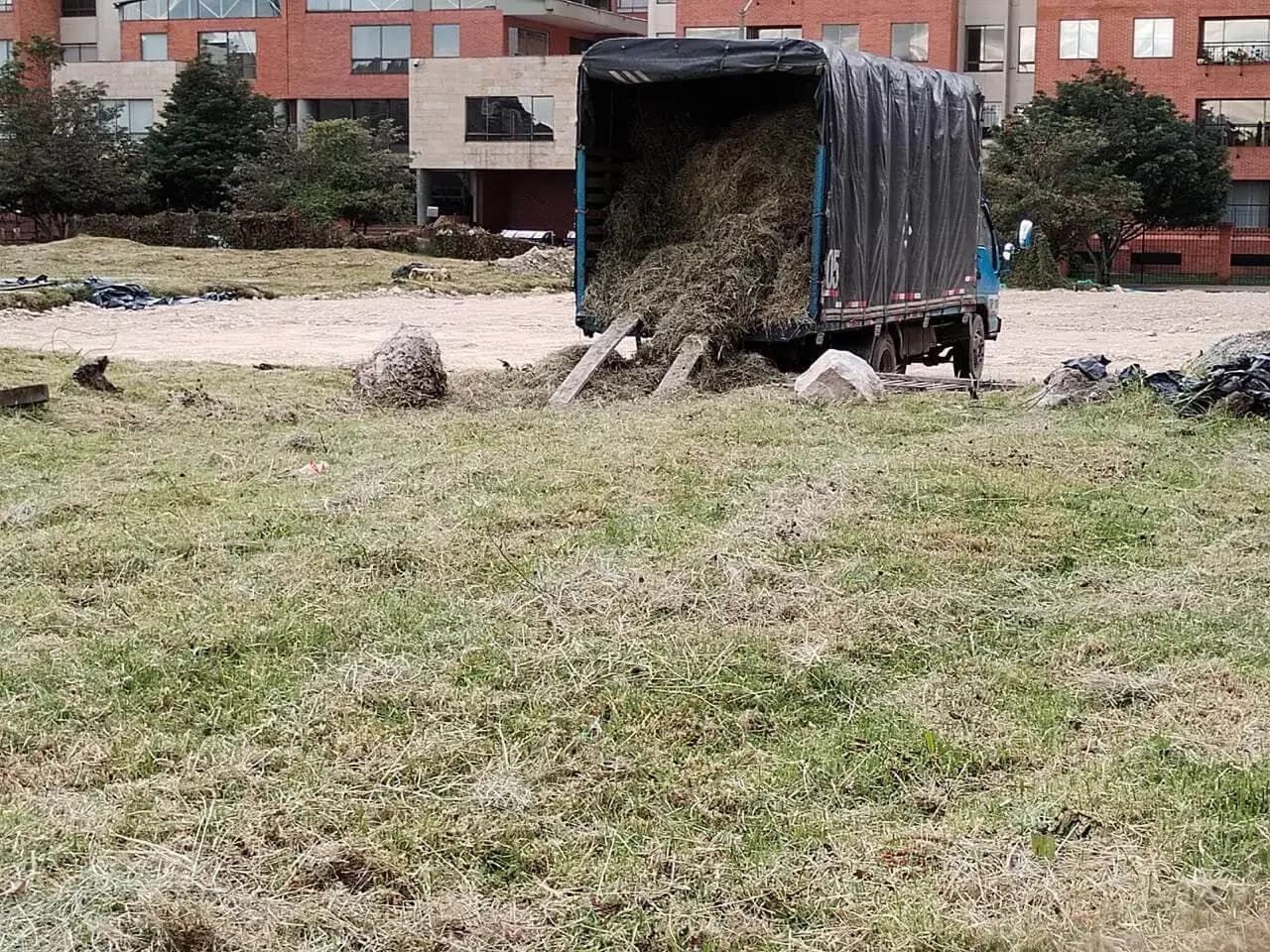 Jardineria y paisajismo