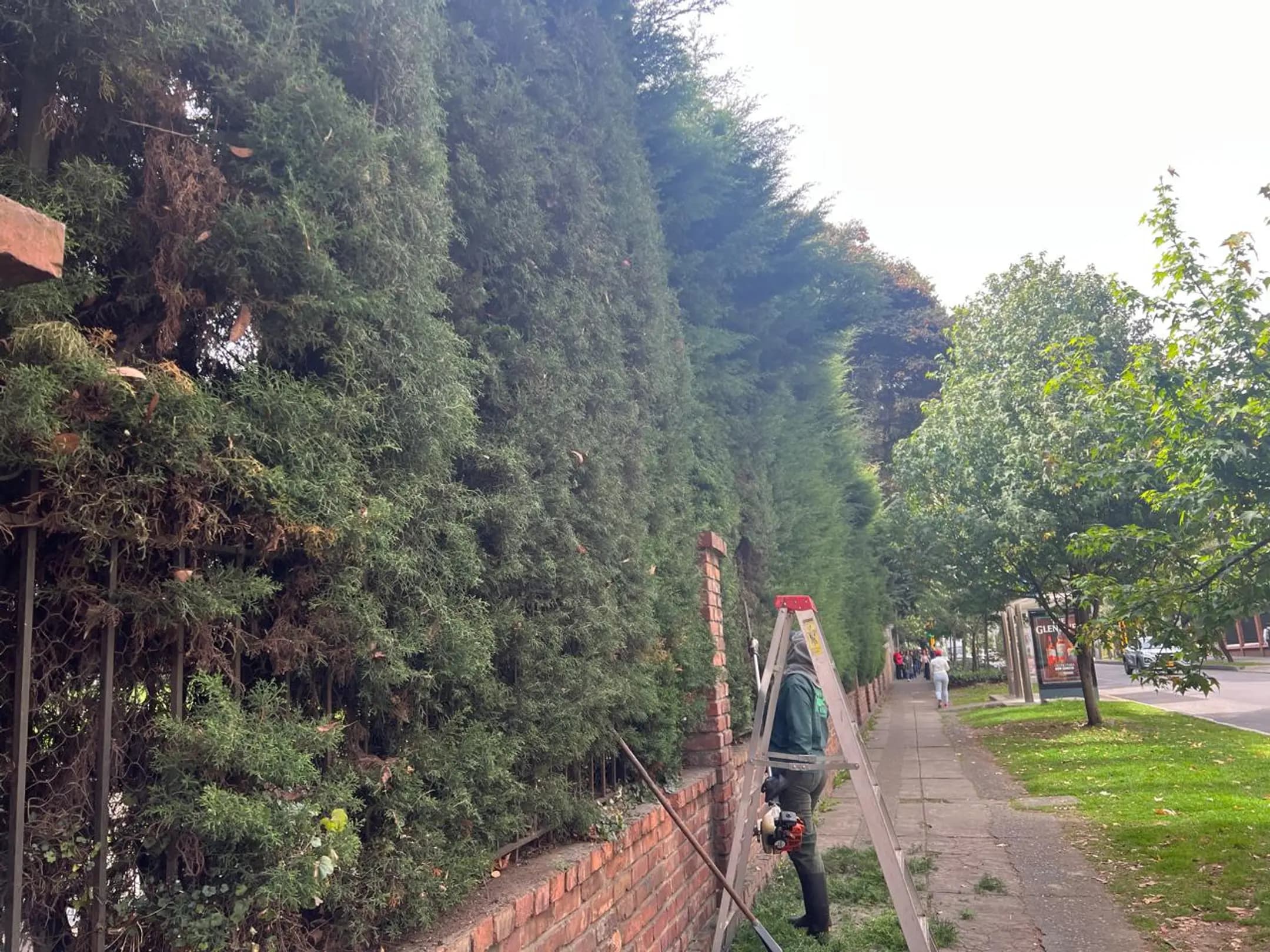 Jardines verticales