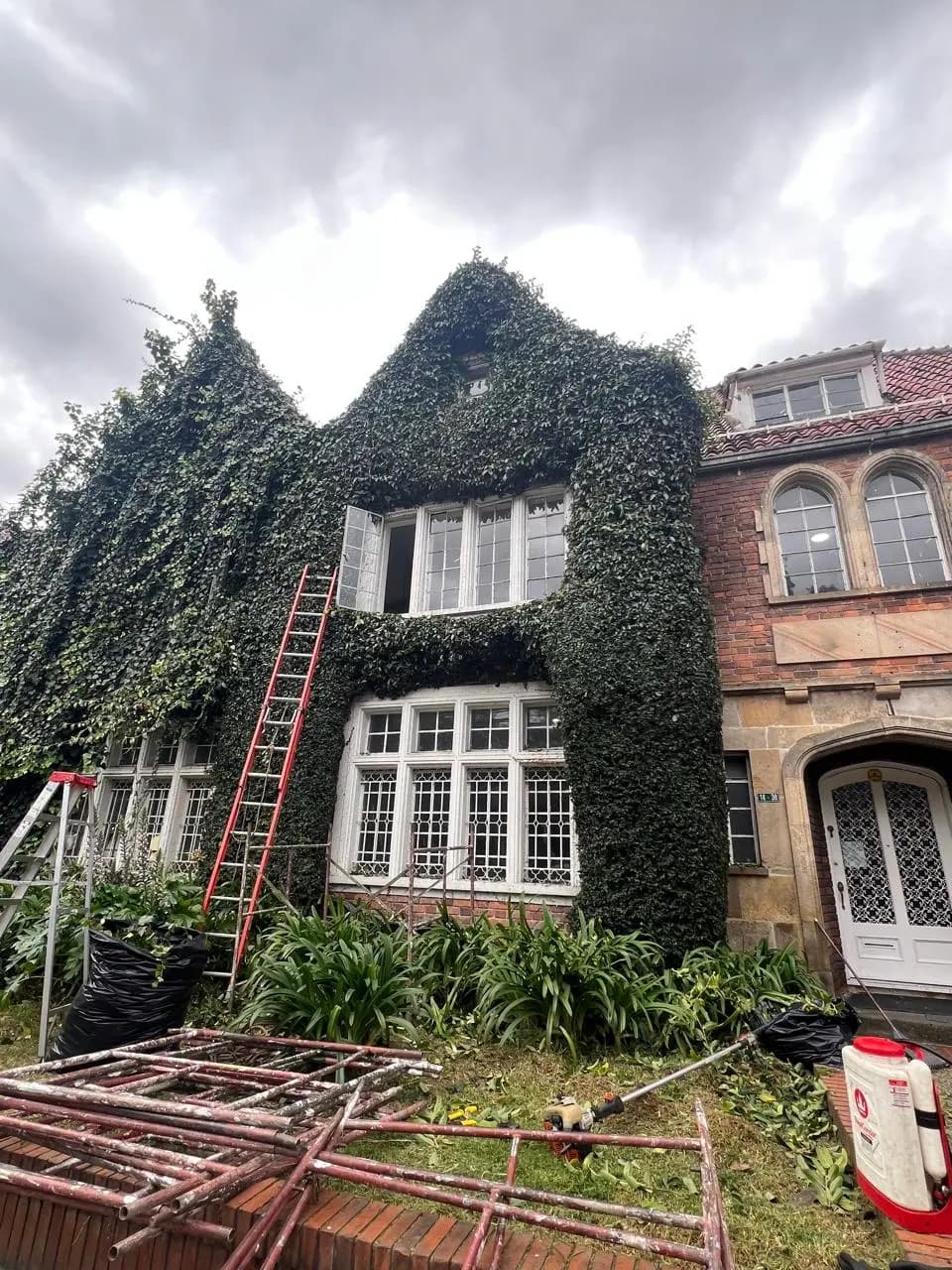 servicio de jardineria