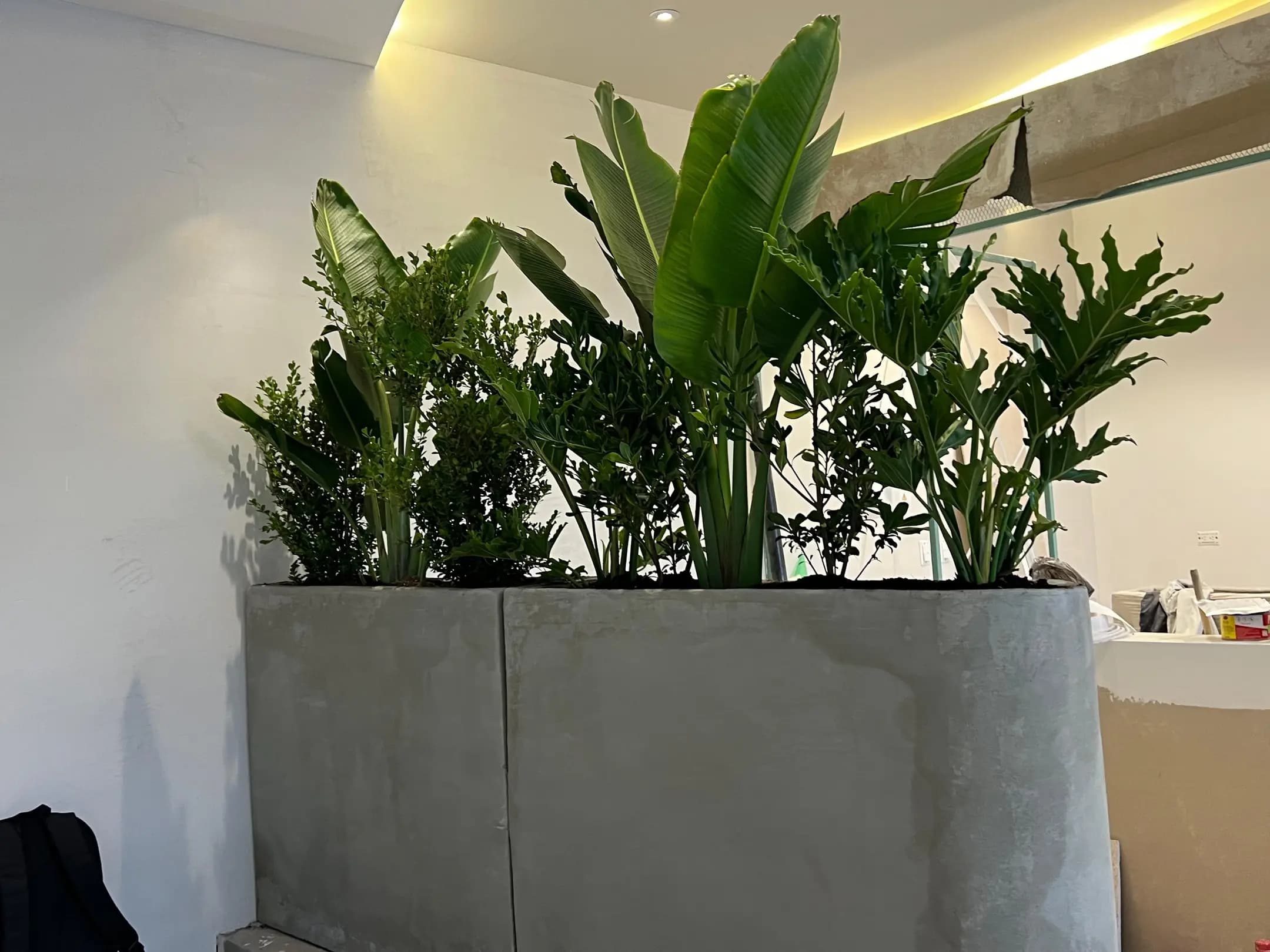 Plantas y suministros