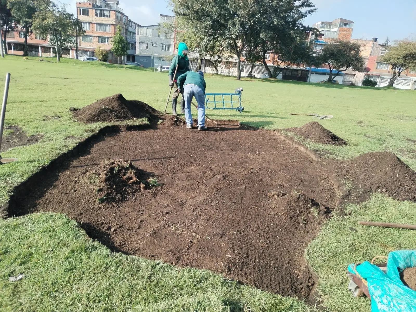 Jardineria y paisajismo