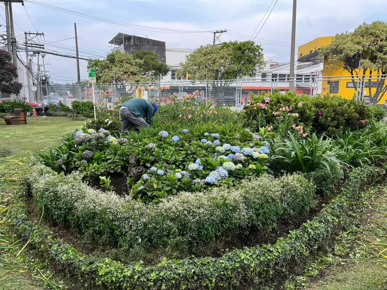 Jardineria y paisajismo