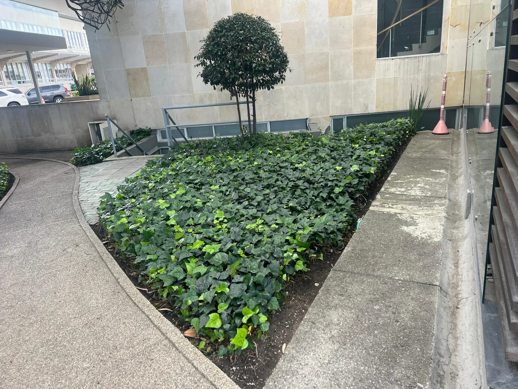 Jardineria y paisajismo