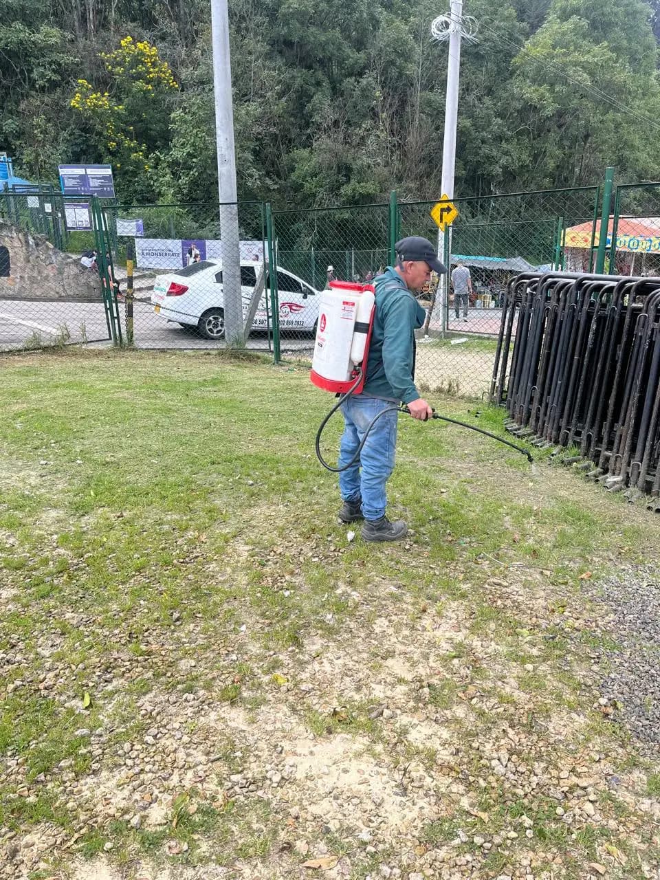 Fumigación de zonas verdes