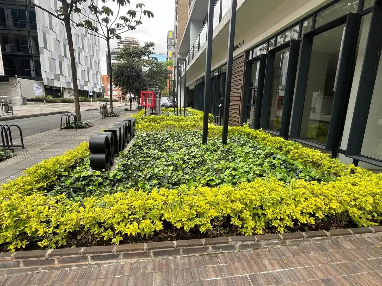 Jardineria y paisajismo