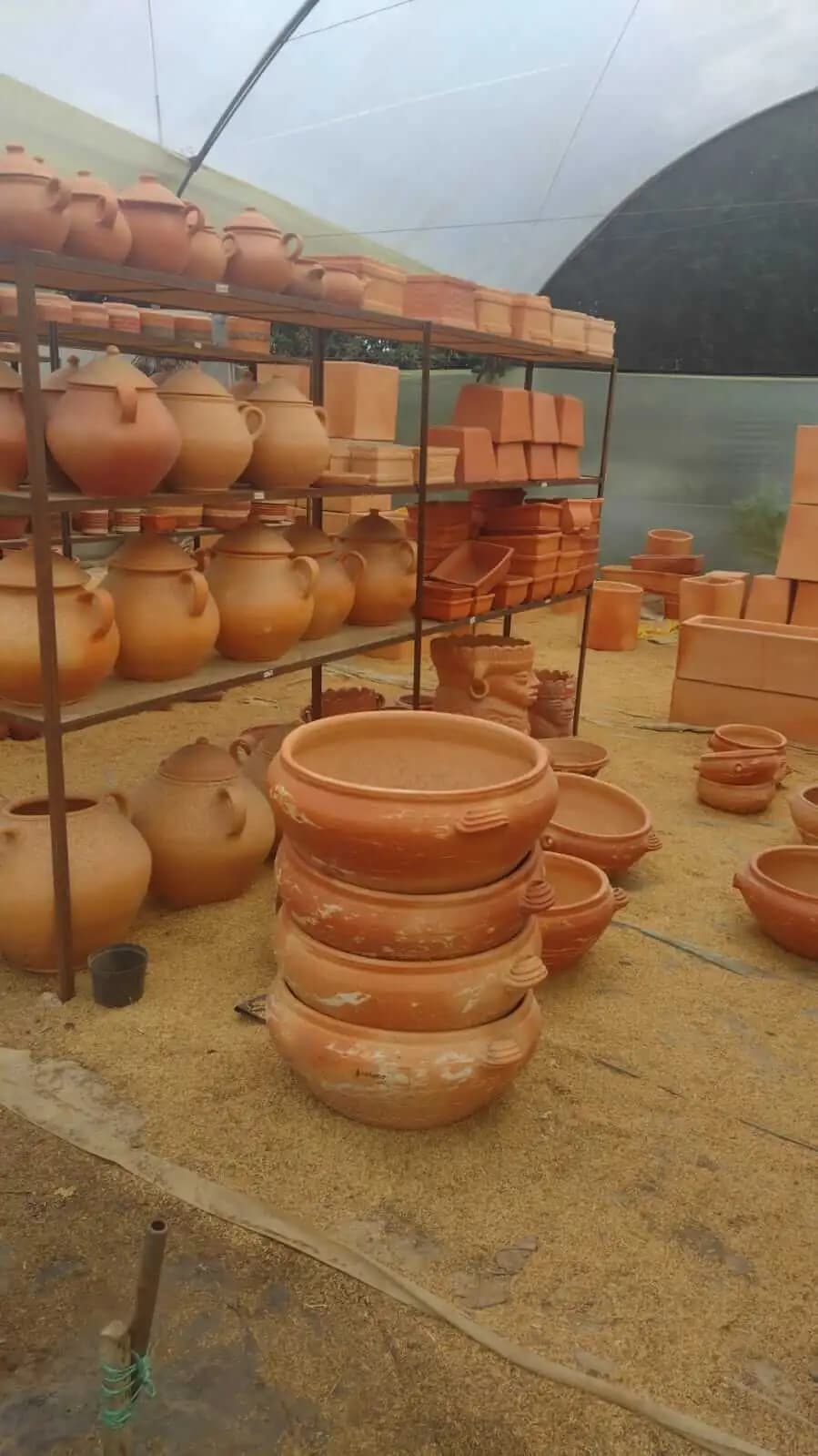 Plantas y suministros