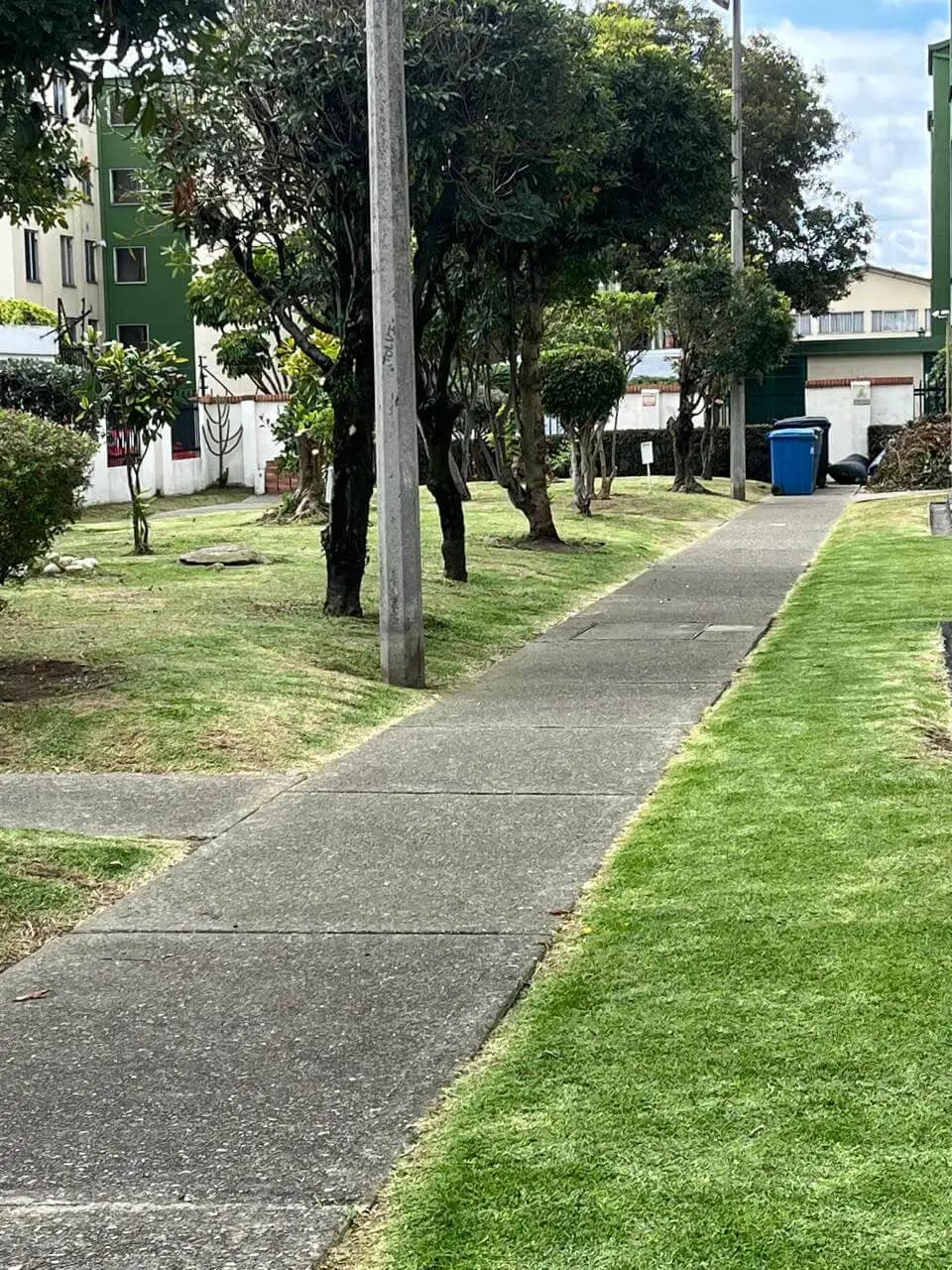 Jardineria y paisajismo