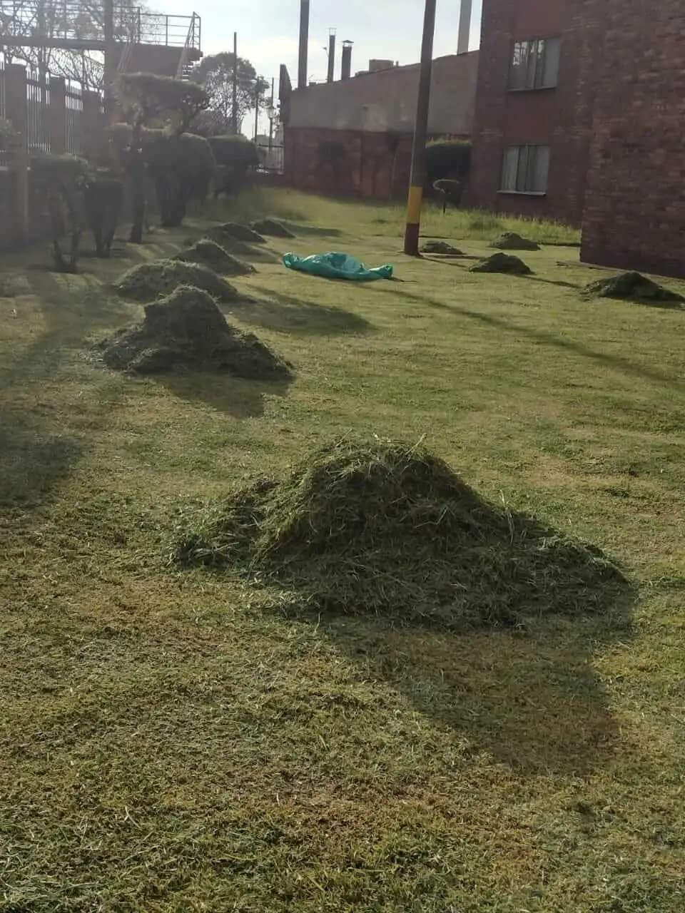 Jardineria y paisajismo