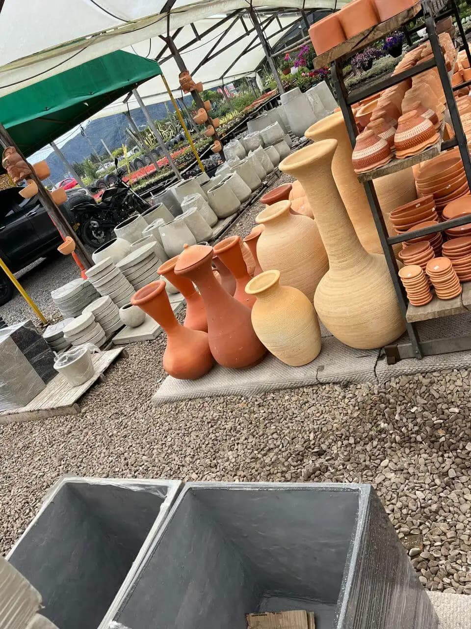 Plantas y suministros