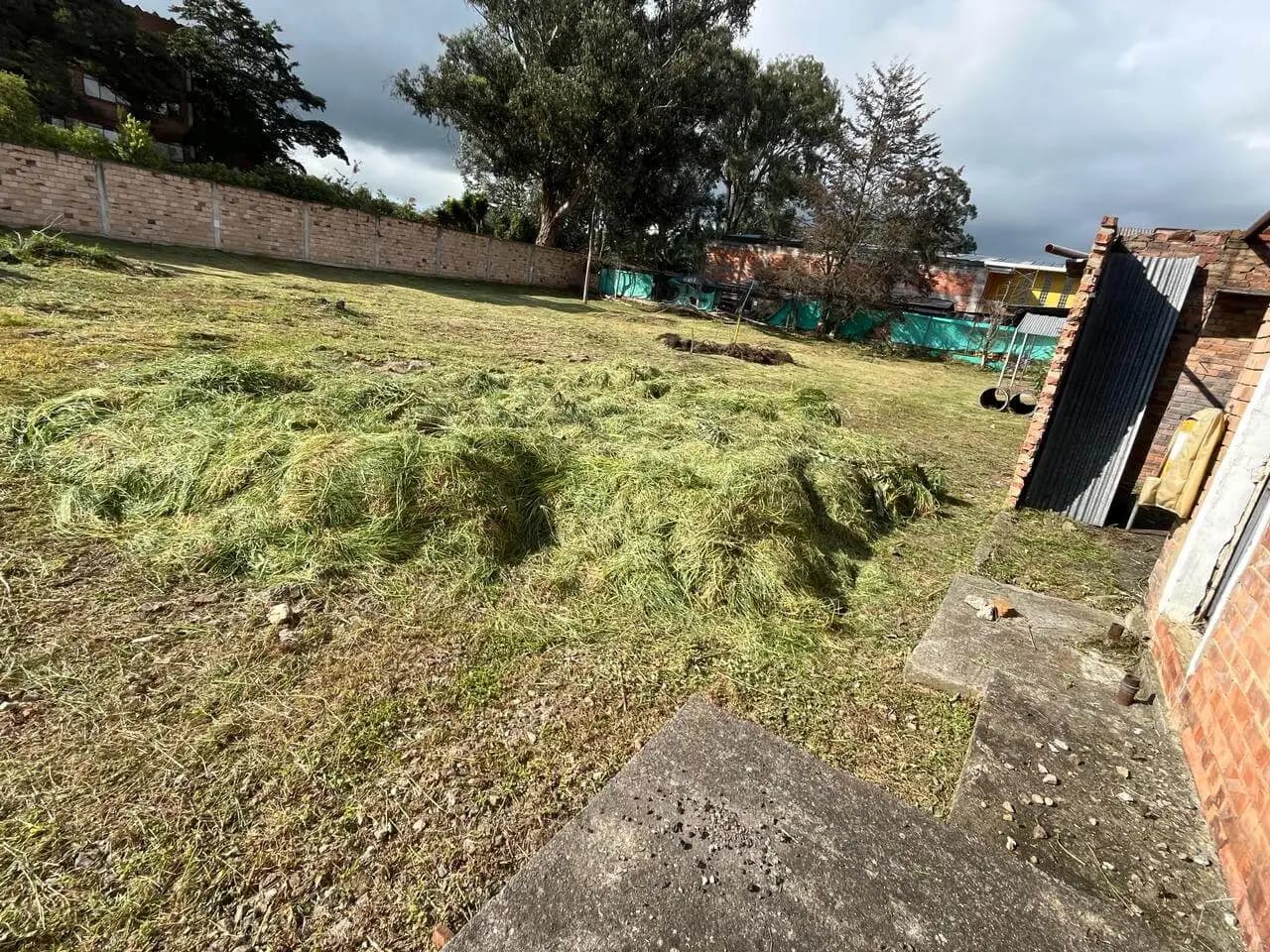 Jardineria y paisajismo