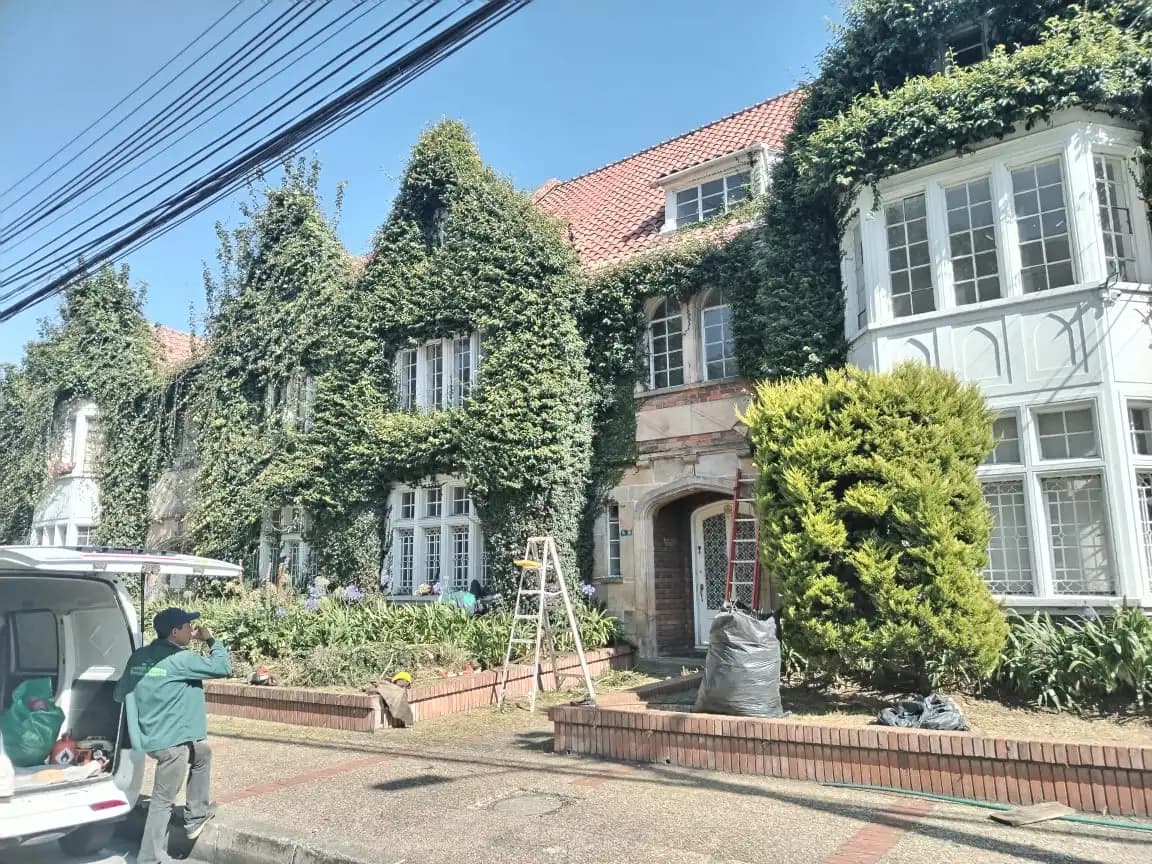 Poda y tala de arboles