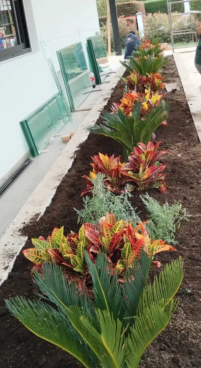 Jardineria y paisajismo