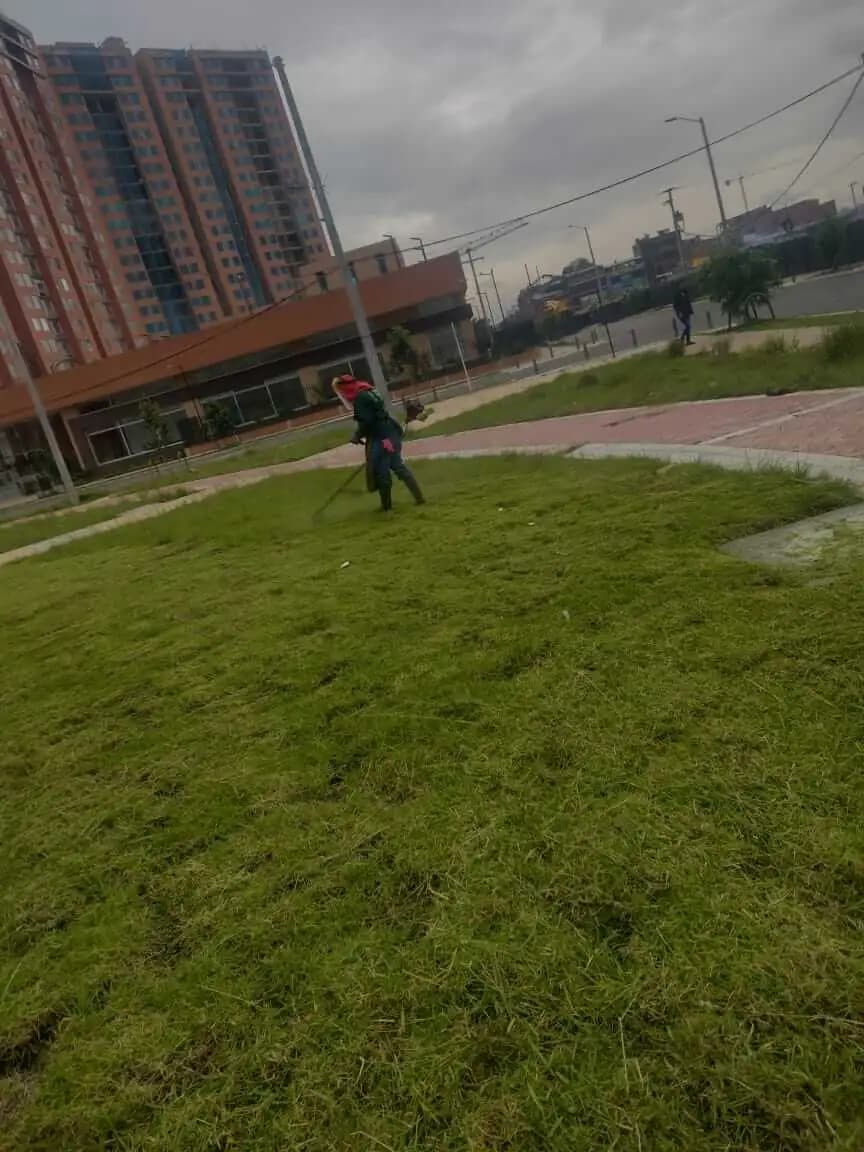 Jardineria y paisajismo