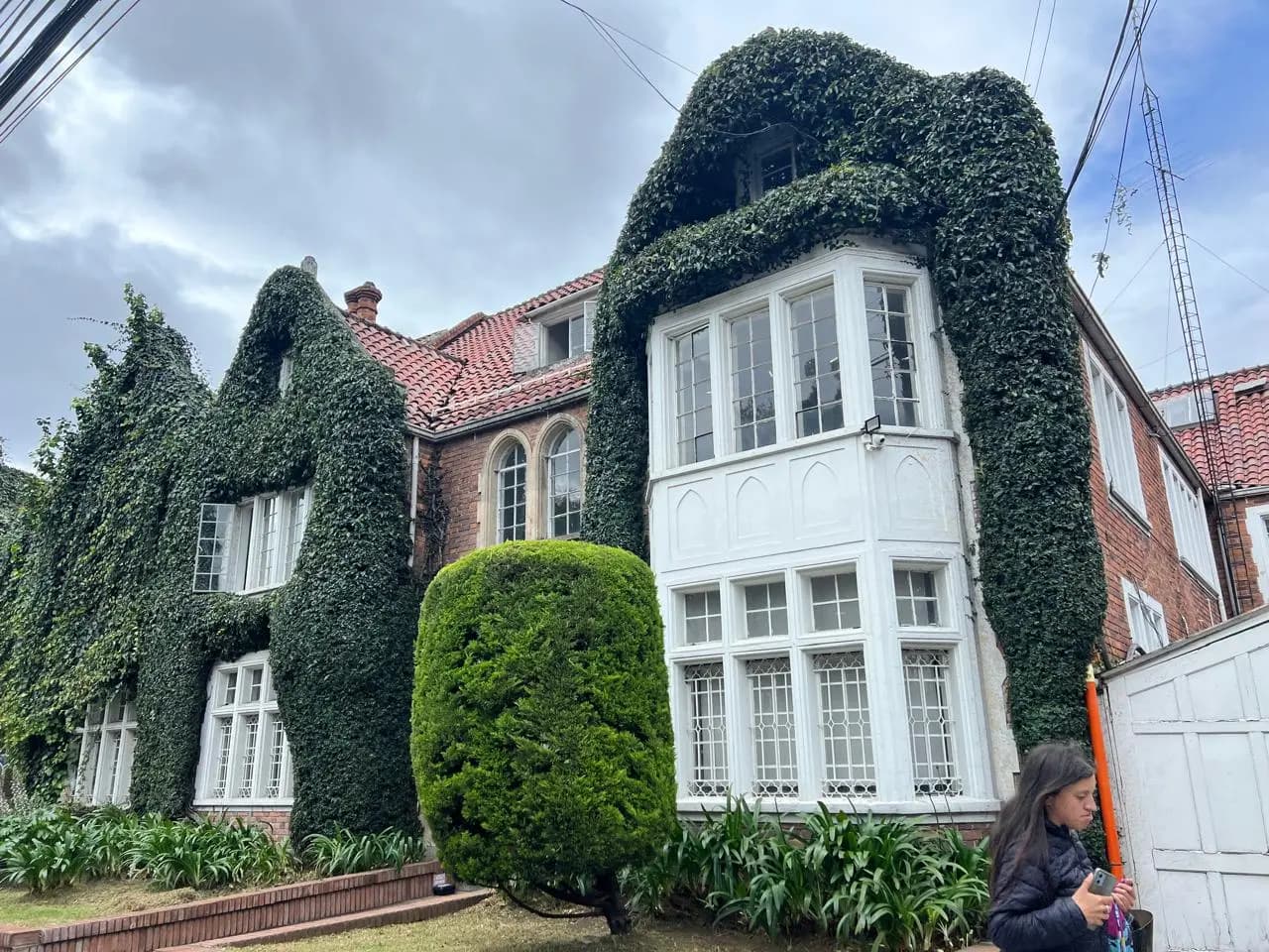 Poda y tala de arboles