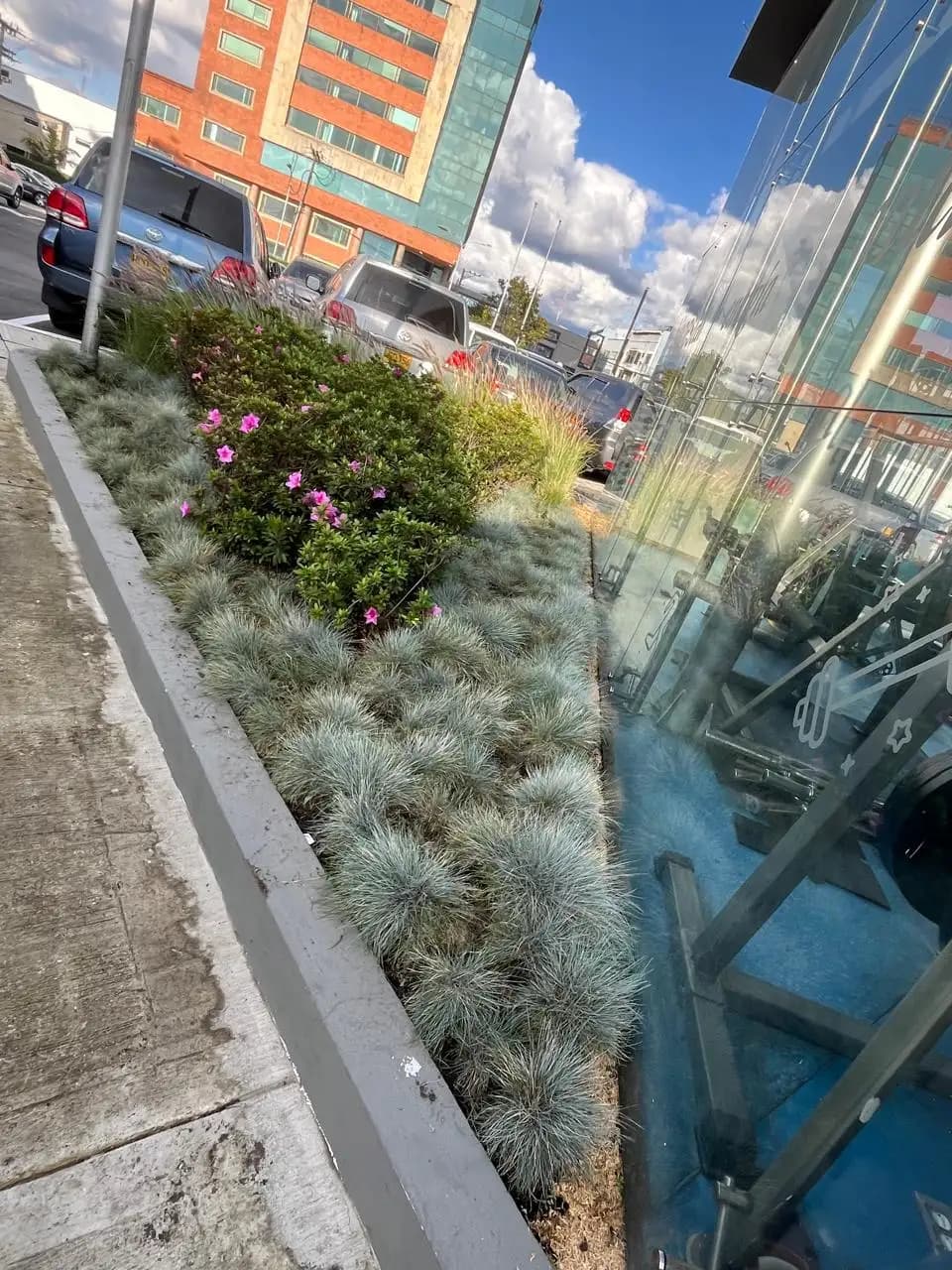 Jardineria y paisajismo