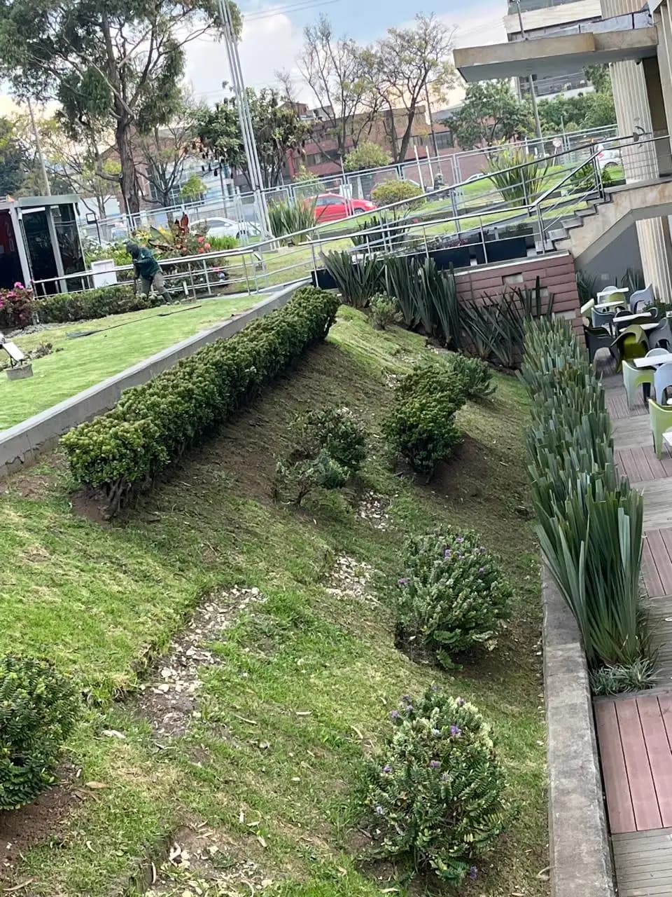 Jardineria y paisajismo