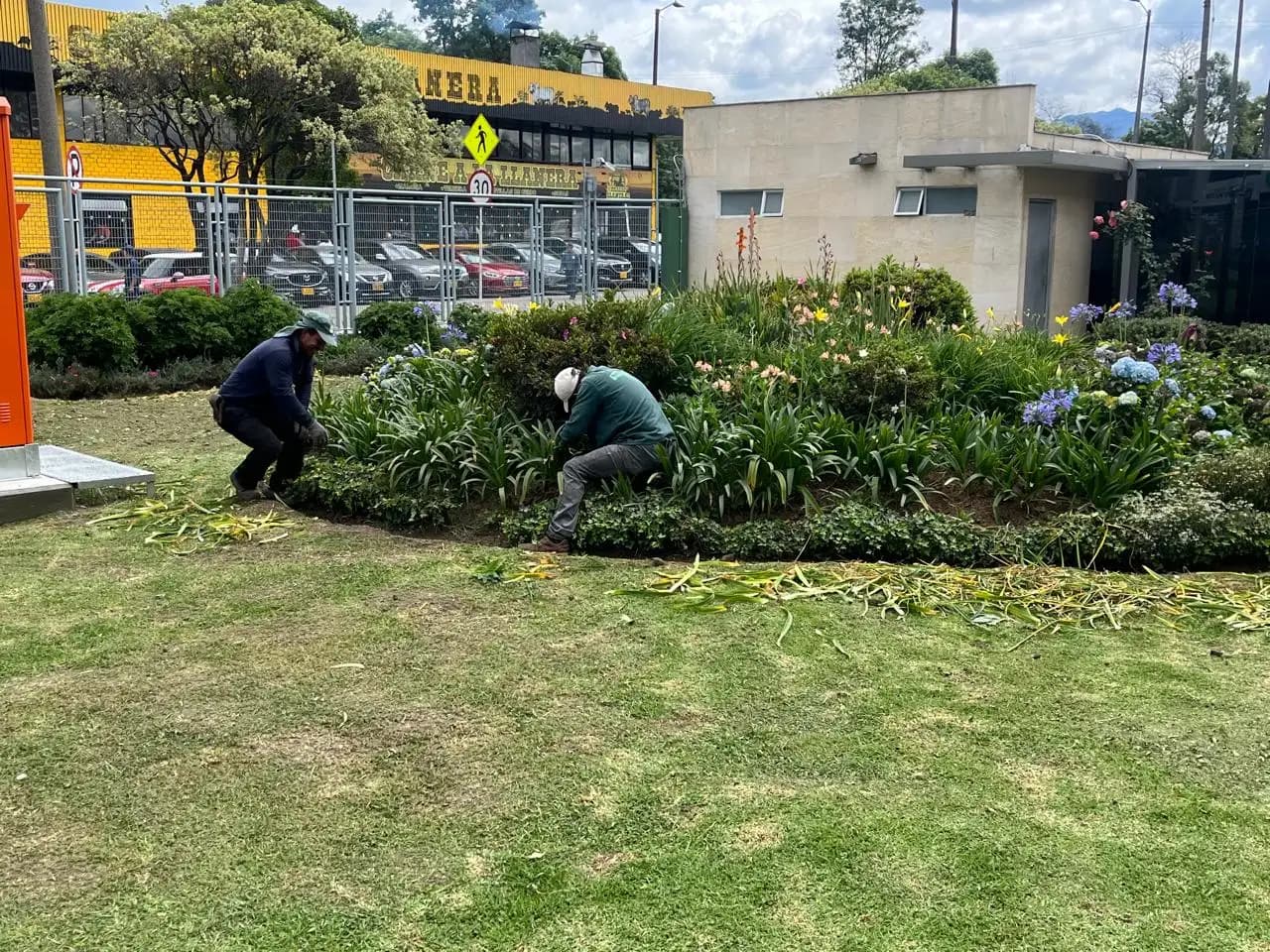 Jardineria y paisajismo
