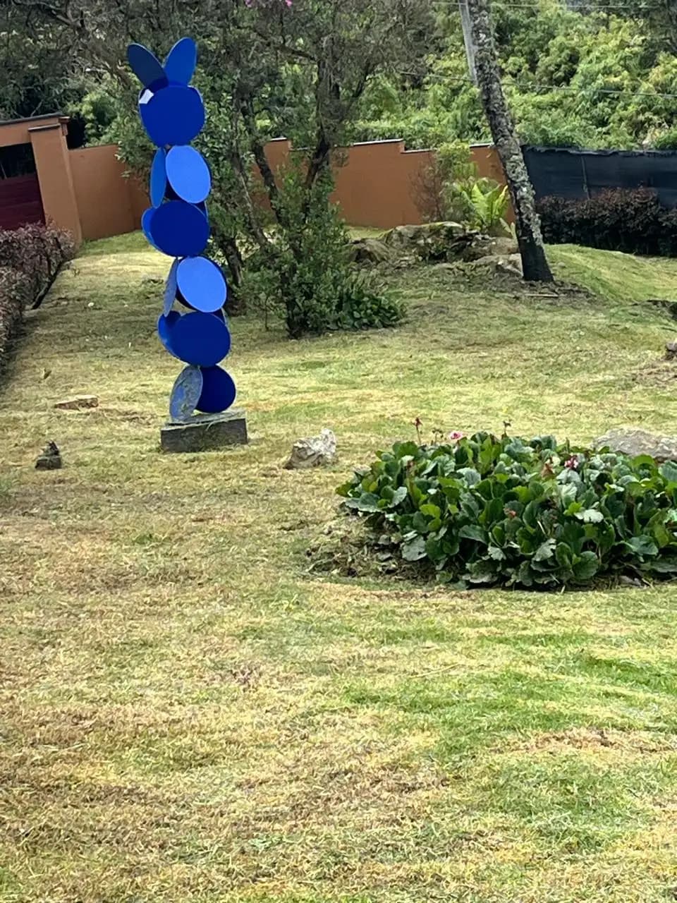 Jardineria y paisajismo