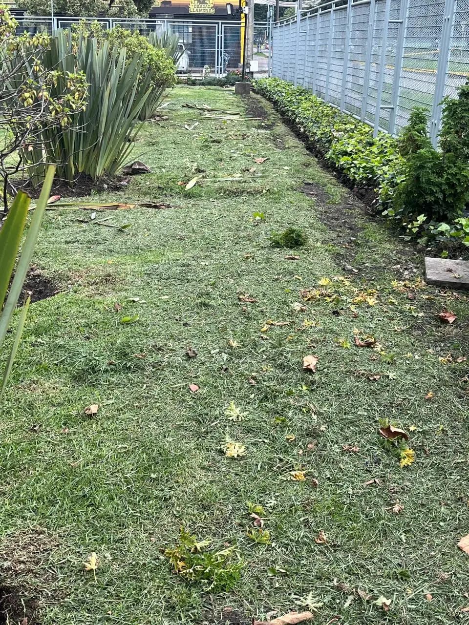 Jardineria y paisajismo