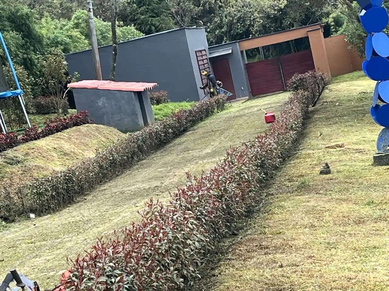 Jardineria y paisajismo